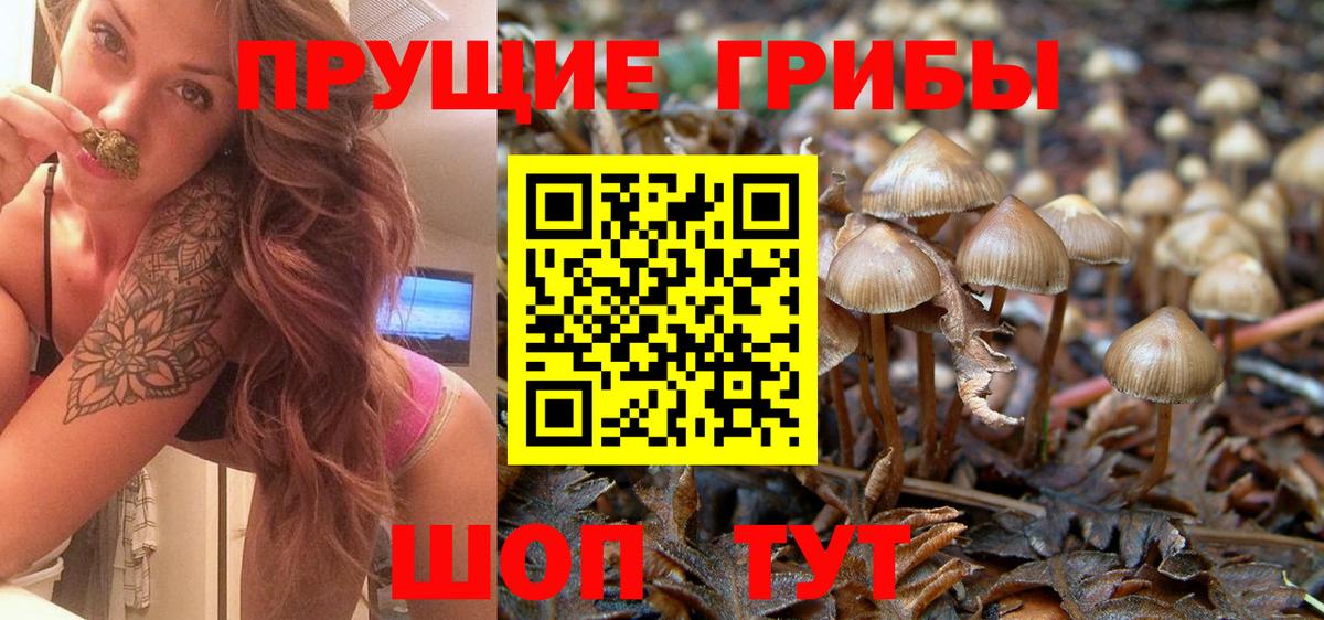 Галлюциногенные грибы мухоморы  Вход с VPN  Выборг  Галлюциногенные грибы Cubensis 