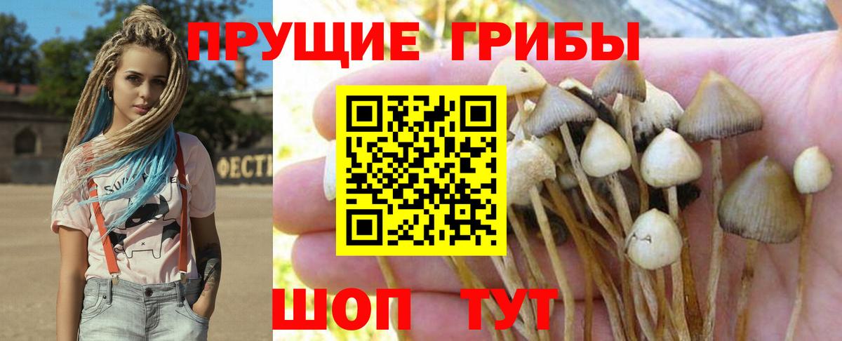 Галлюциногенные грибы мухоморы Выборг